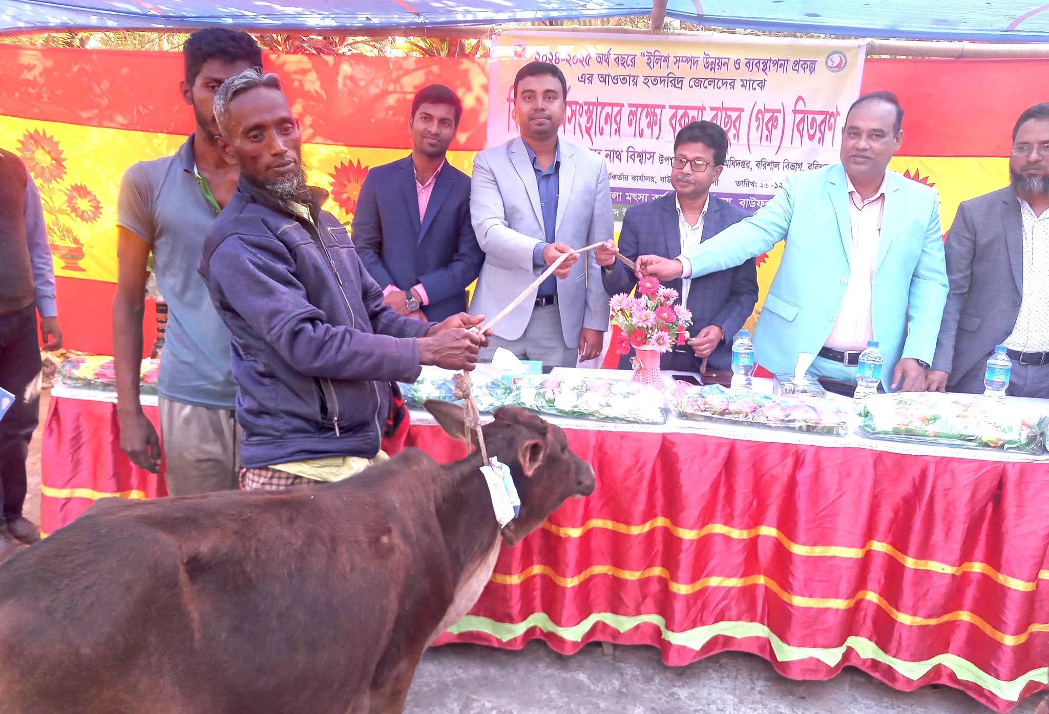 বাউফলে জেলেদের মাঝে গরুর বাছুর  বিতরণ