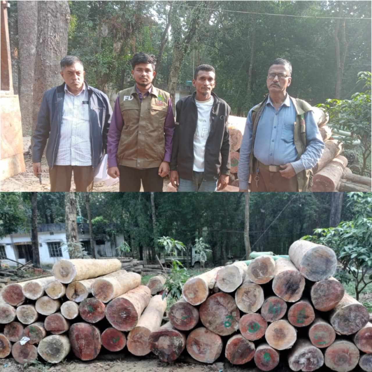 ঈদগাঁওতে ট্রাক ভর্তি গর্জন কাঠসহ আটক-১