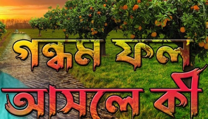গন্ধম ফল আসলে কি?